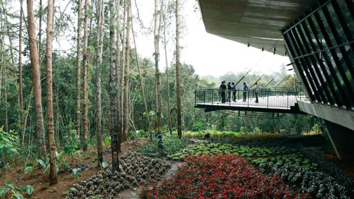 PARQUE ARVÍ
