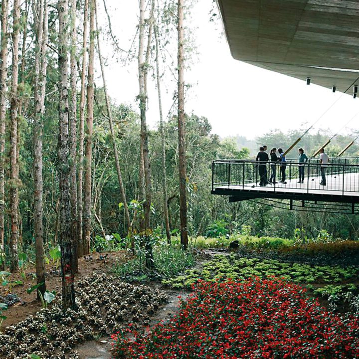PARQUE ARVÍ